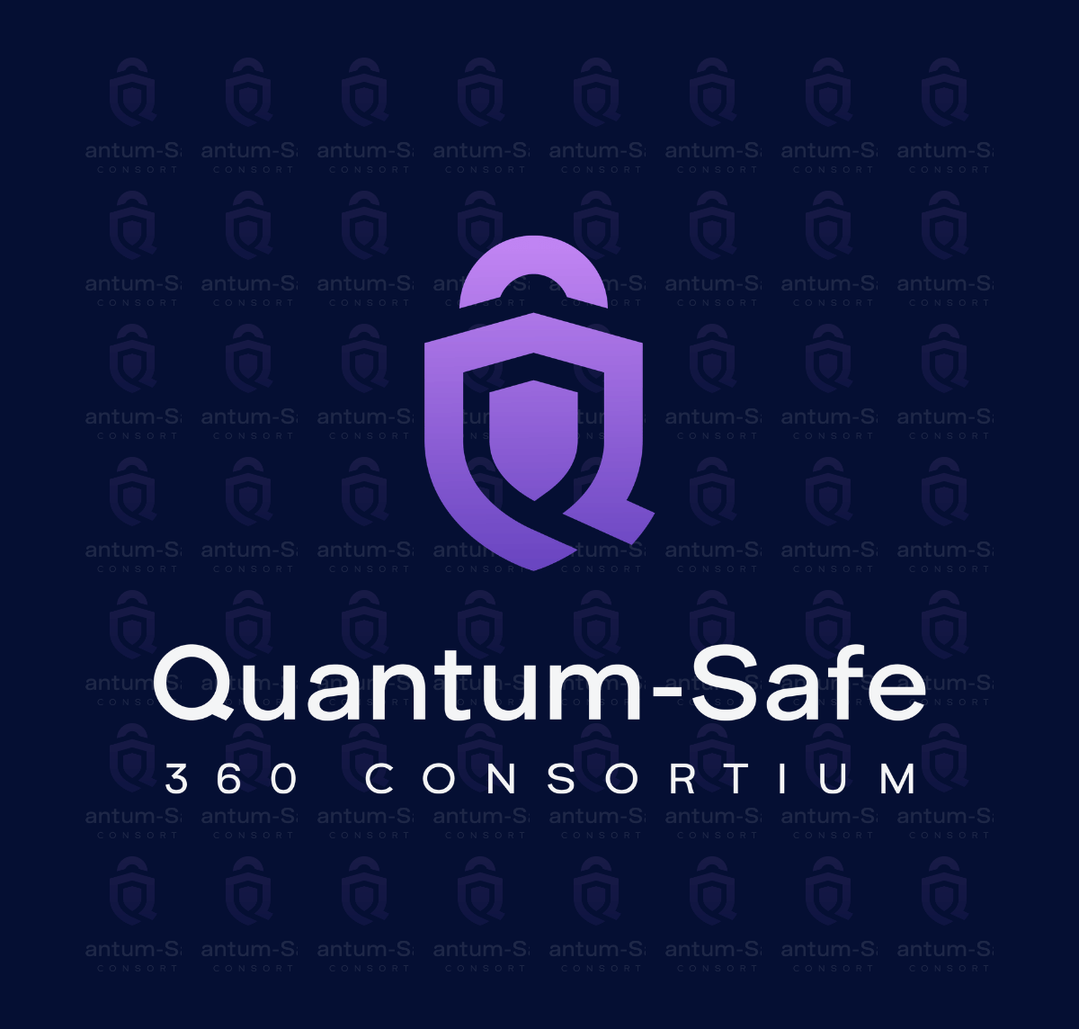 Overview_QSafe