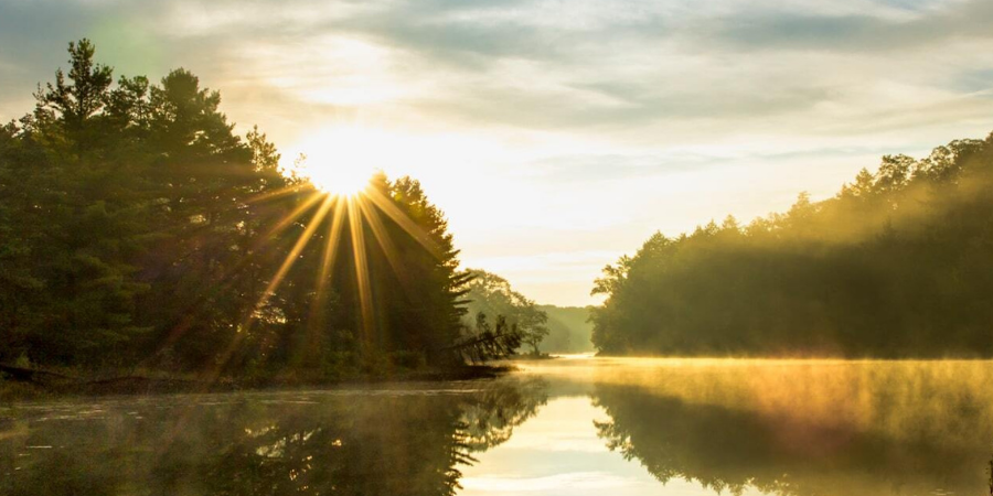 Header Image_Muskoka